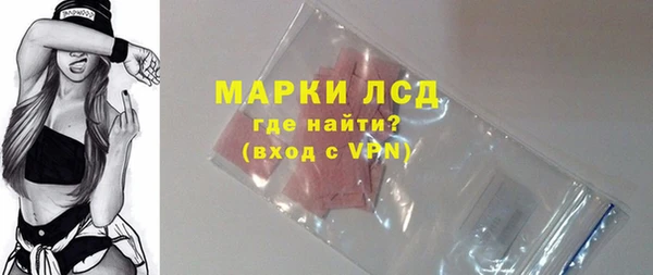 apvp Алзамай