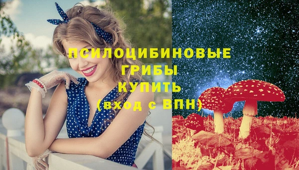 гидропоника Абинск