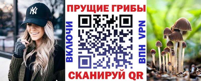Галлюциногенные грибы Magic Shrooms  Яблоновский 